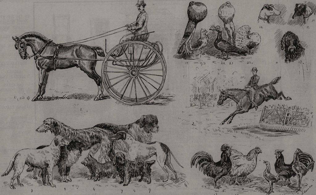 Agricultural show at Boston. Massachusetts 1863 old antique print picture